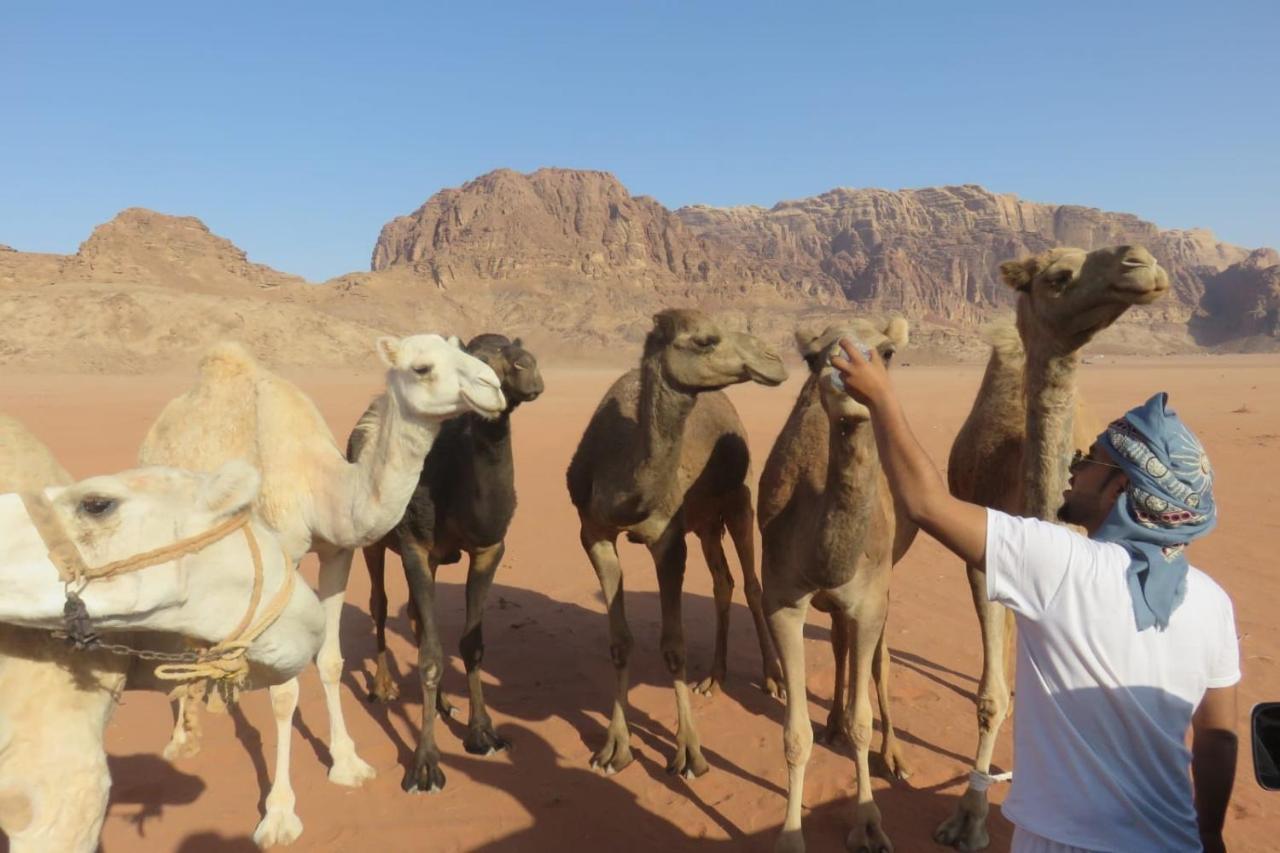 Wadirum Sunset Camp Hotel Wadi Rum Luaran gambar